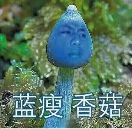 蓝瘦香菇